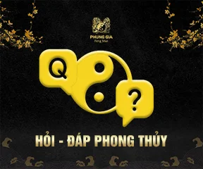 ảnh 4